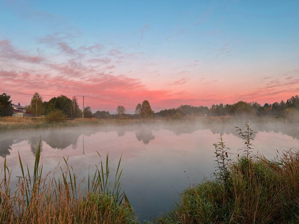 Photograph by Kira Ko