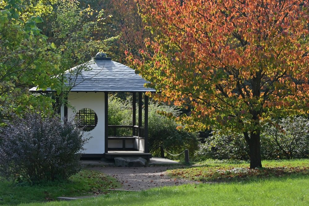 Photograph by Наталия Божьева