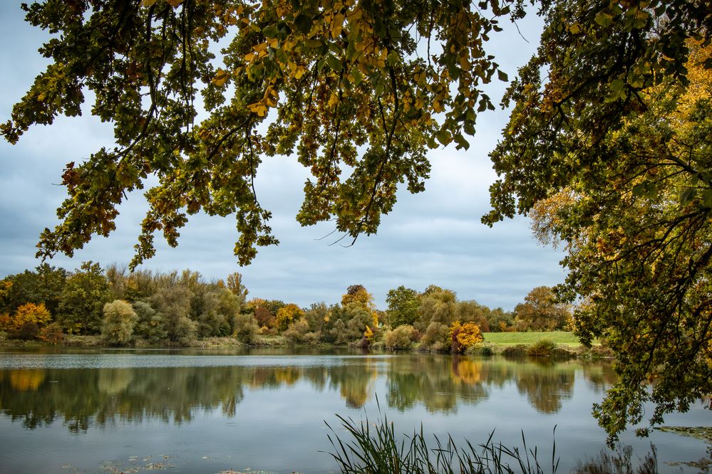 Фотография автора Lada