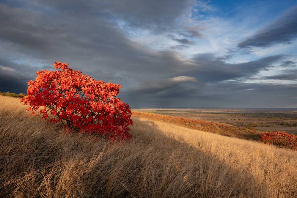 Photograph by Шишкалов Константин