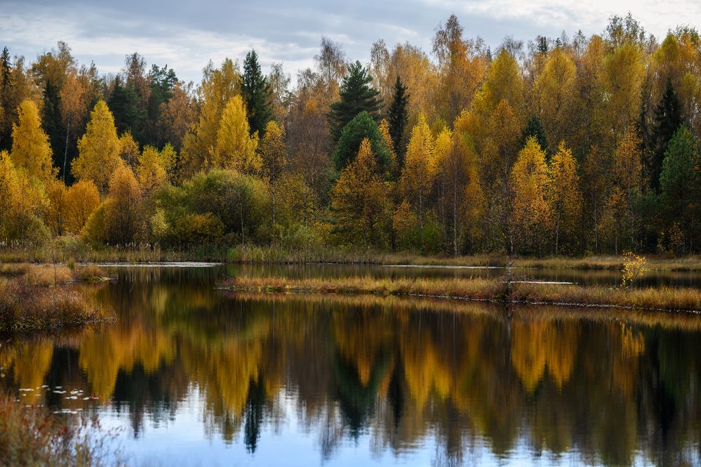 Photograph by Andrey Nuzhdin