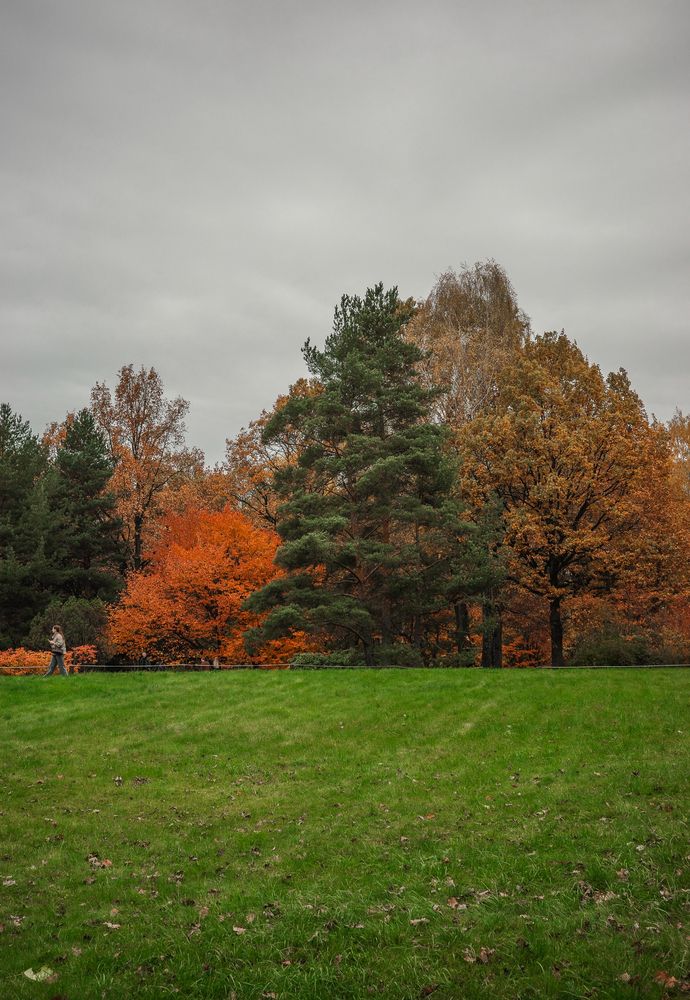 Photograph by Veronika Koneva