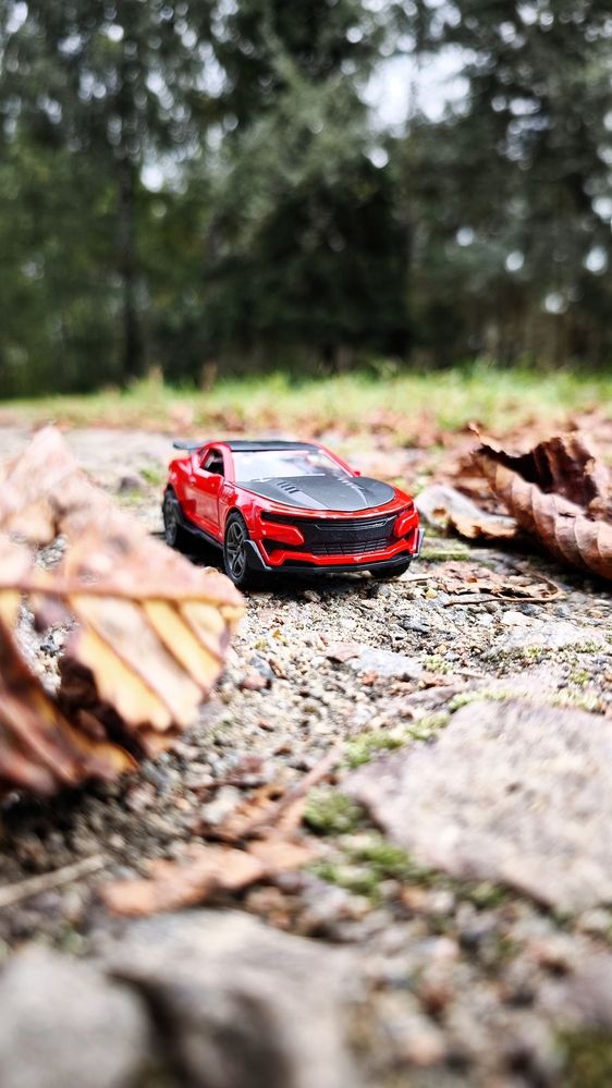 Photograph by Eugenia Blinova