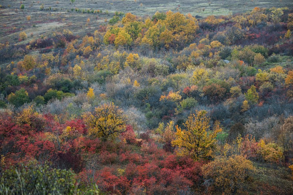 Photograph by Tim Wing