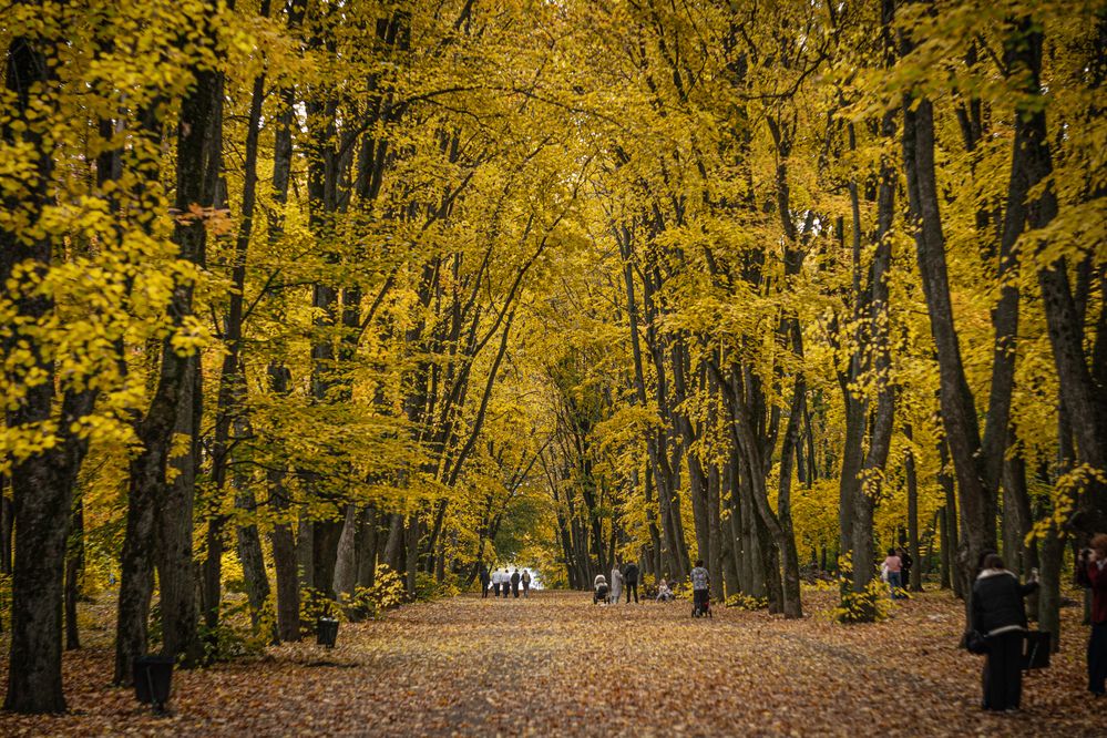 Photograph by Tim Wing