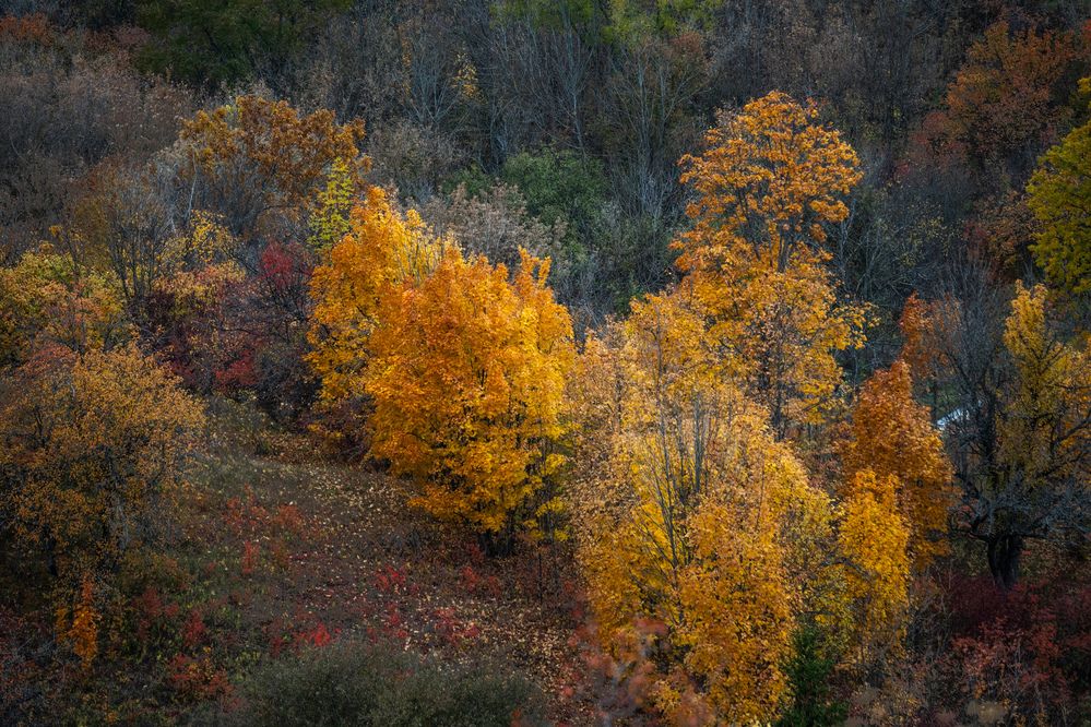 Photograph by Tim Wing