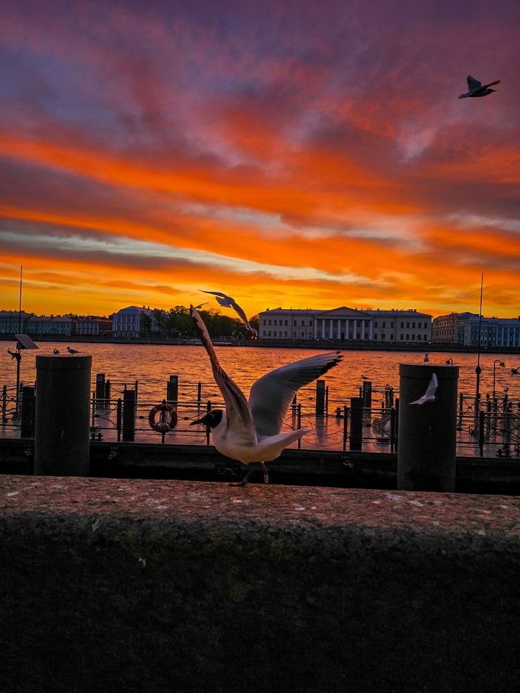 Photograph by Елена Сиушова