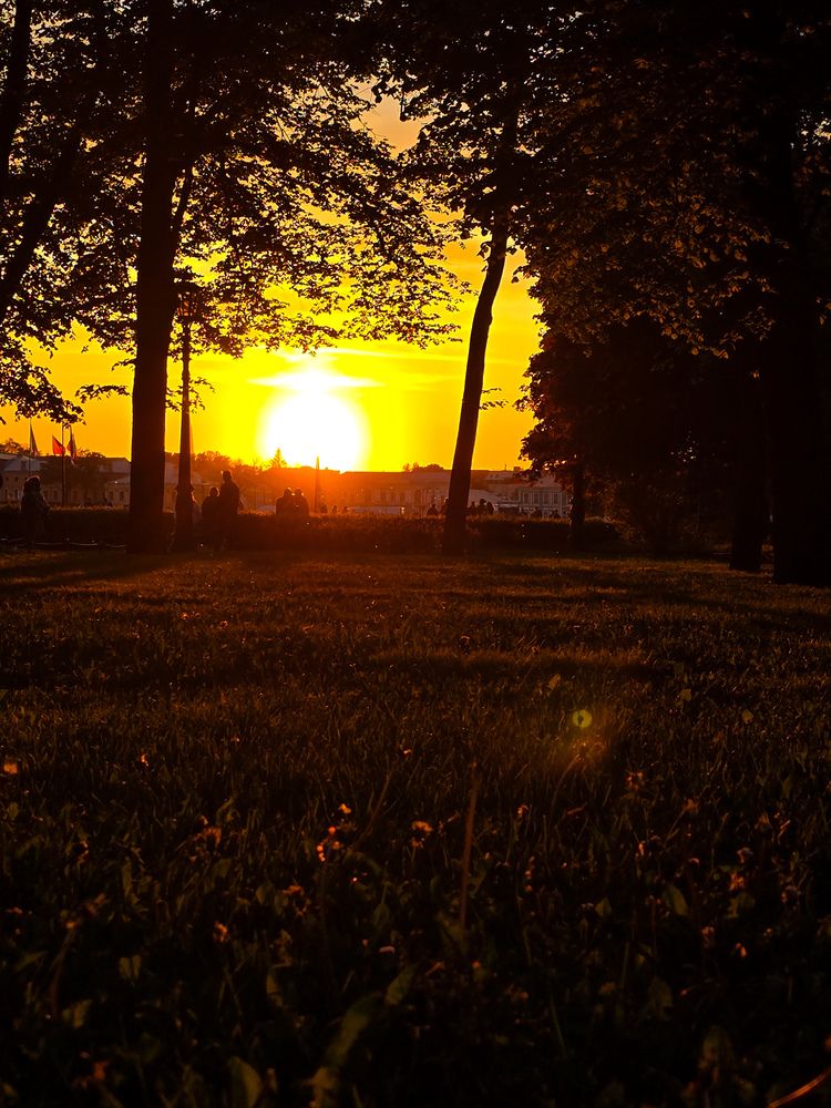 Photograph by Елена Сиушова