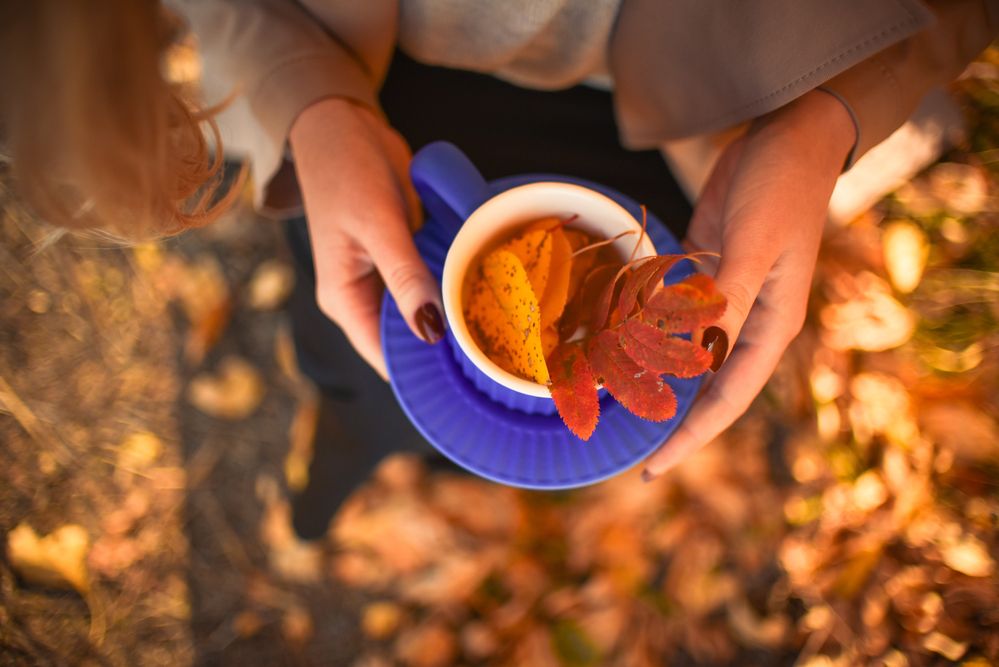 Photograph by Елена Сиушова