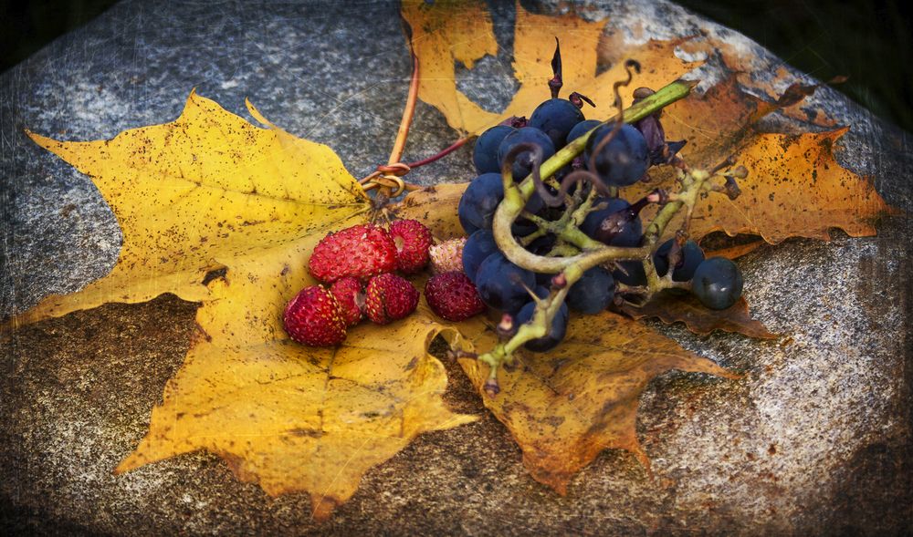 Фотография автора Лидия Киприч