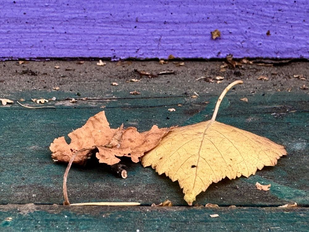 Photograph by Марина Сальникова
