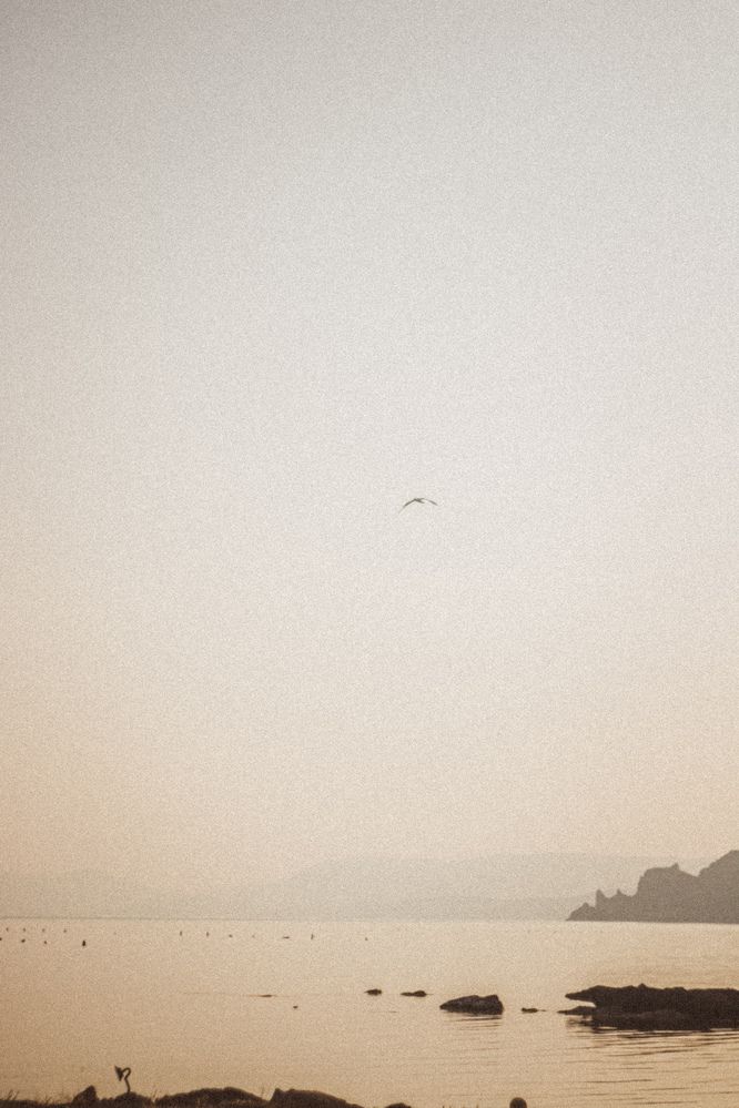 Фотография автора Настя Салтыкова