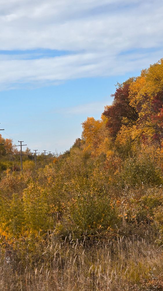 Photograph by Елена Сиушова