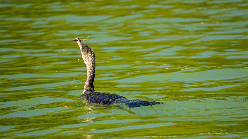 Фотография автора Владимир Хакимов