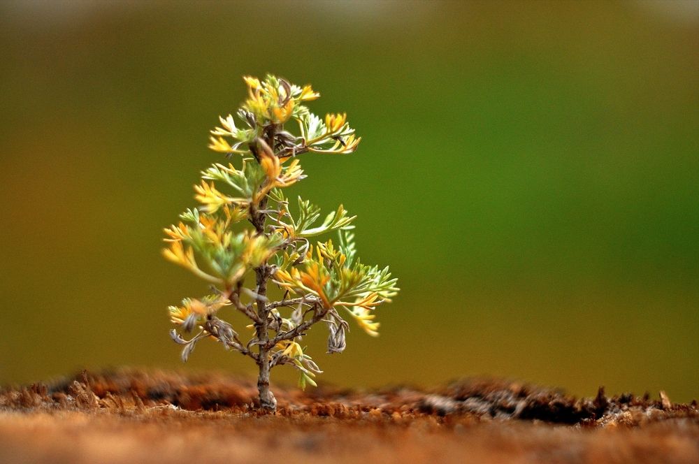 Photograph by Николай Птицын