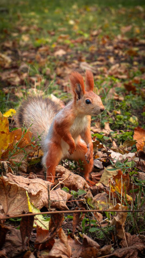Photograph by Олег Гриценко