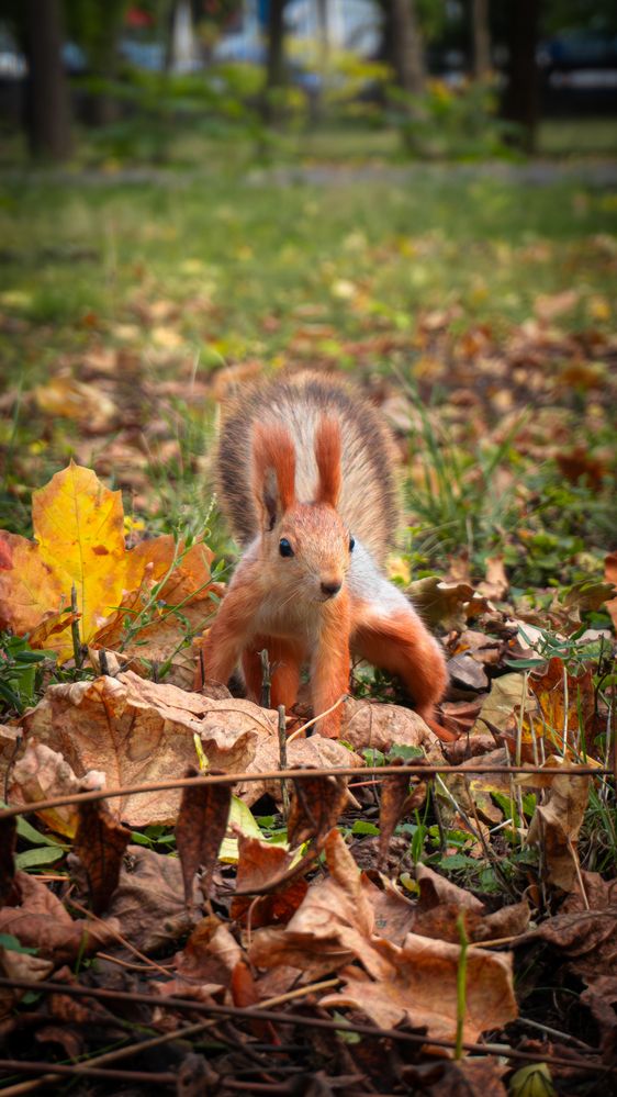 Photograph by Олег Гриценко