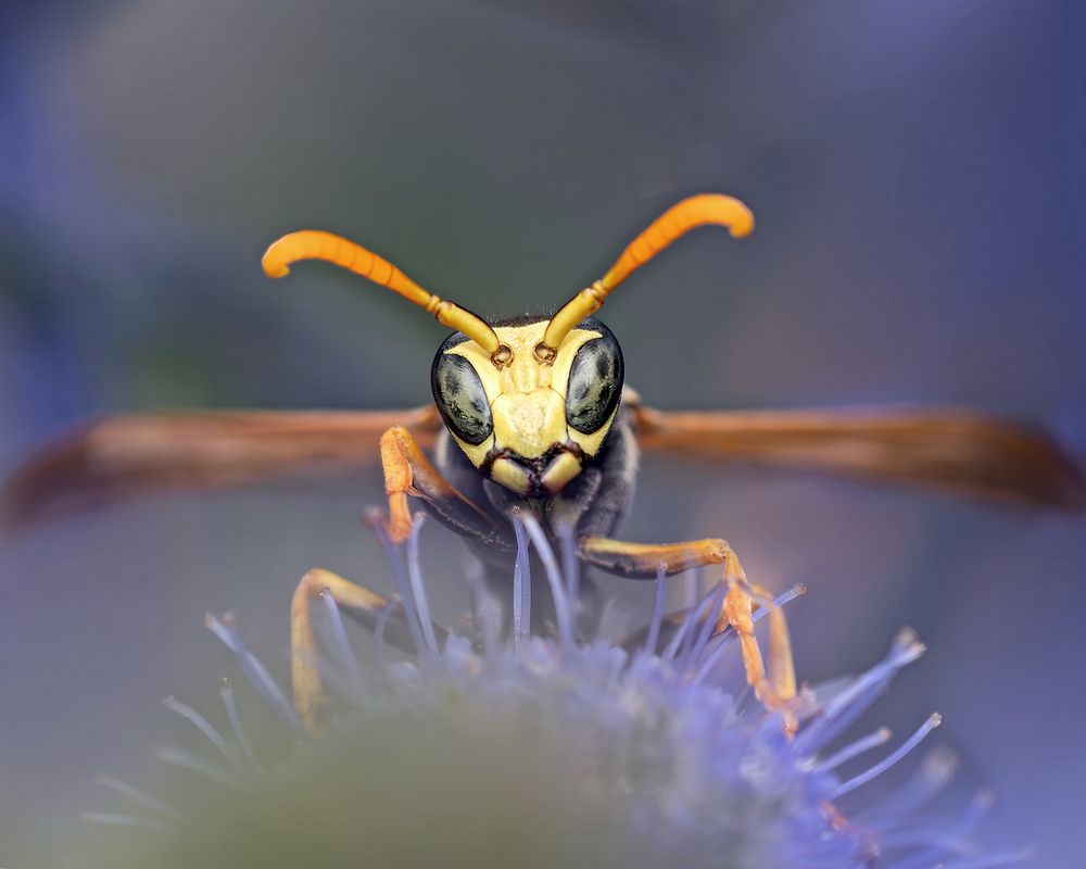 Photograph by Ворожцова Марина