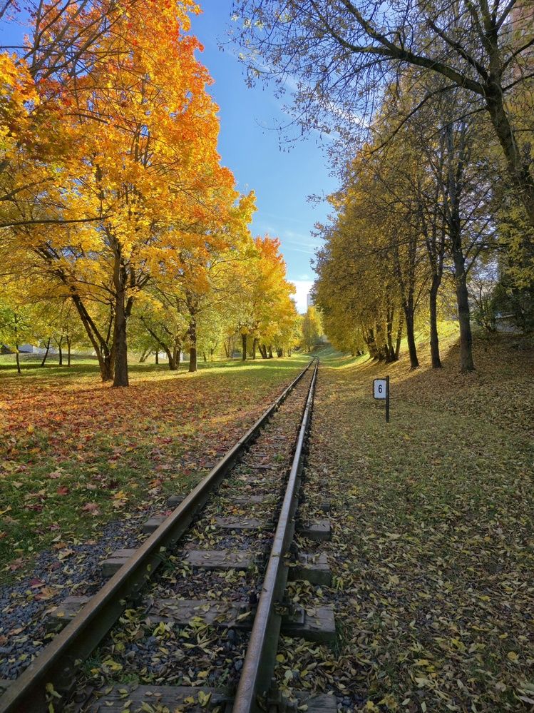Фотография автора Ирина