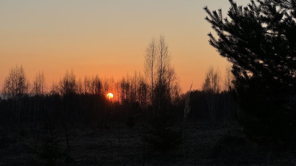 Photograph by Светлана Родионова