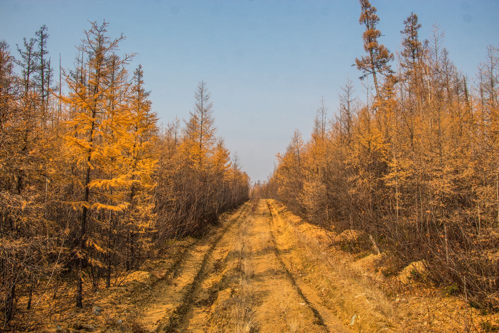 Photograph by Михаил Мархинин