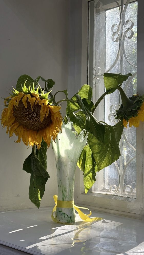 Photograph by Светлана Родионова