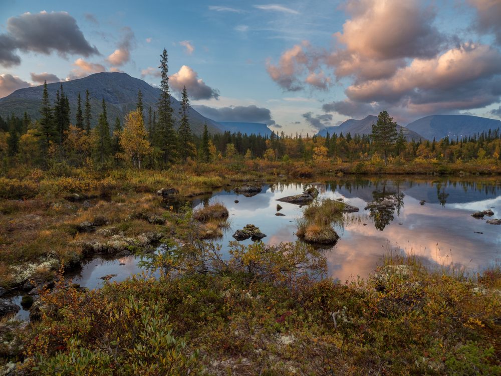 Photograph by Шейко Анна