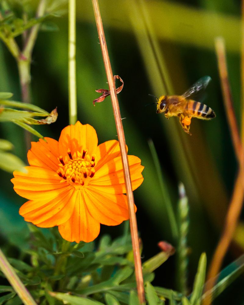 Photograph by Layo Silva