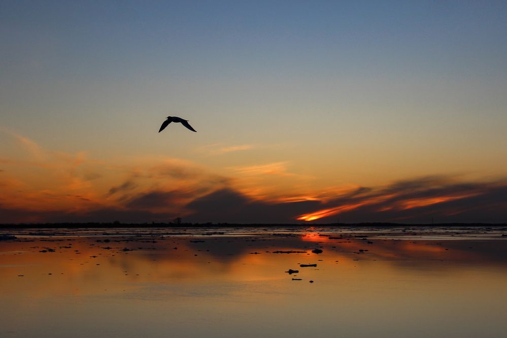 Photograph by Ольга Ситникова