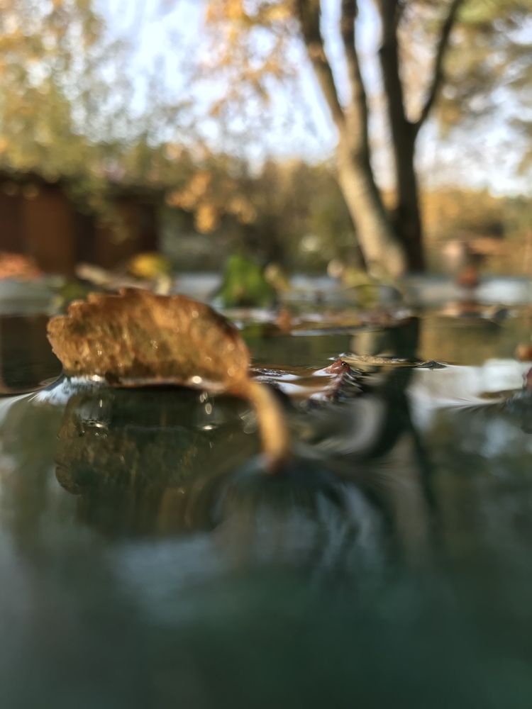 Photograph by Надежда Ткаченко