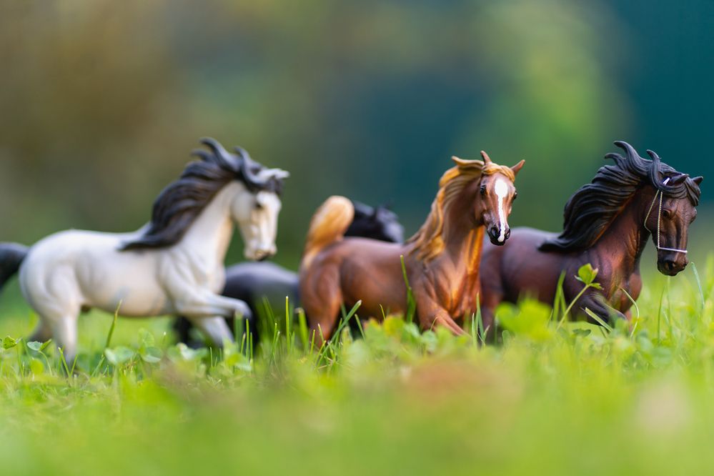 Photograph by Галина Искандарова