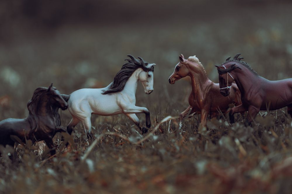 Фотография автора Галина Искандарова