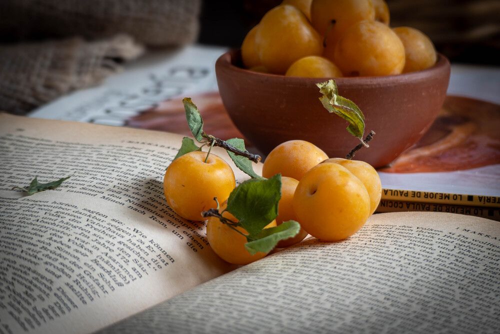 Photograph by Bryam Blanco