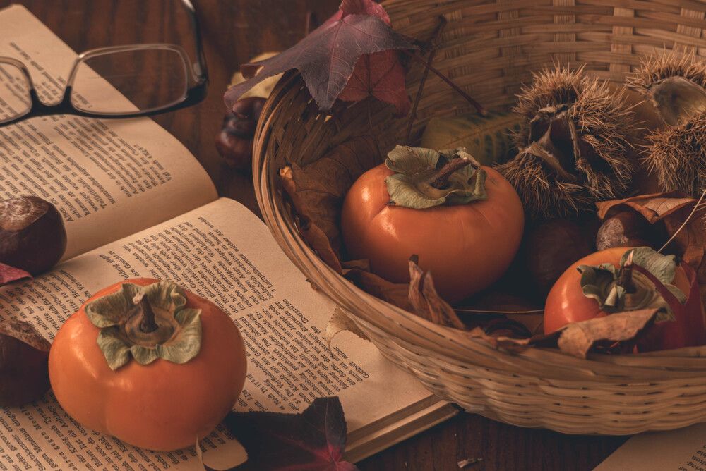 Photograph by Bryam Blanco