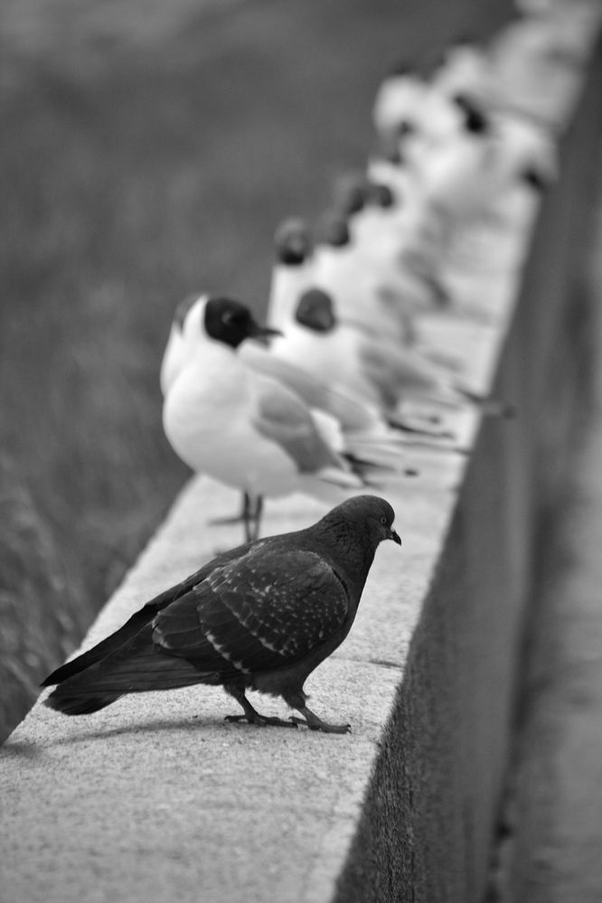 Photograph by Михаил Некрасов
