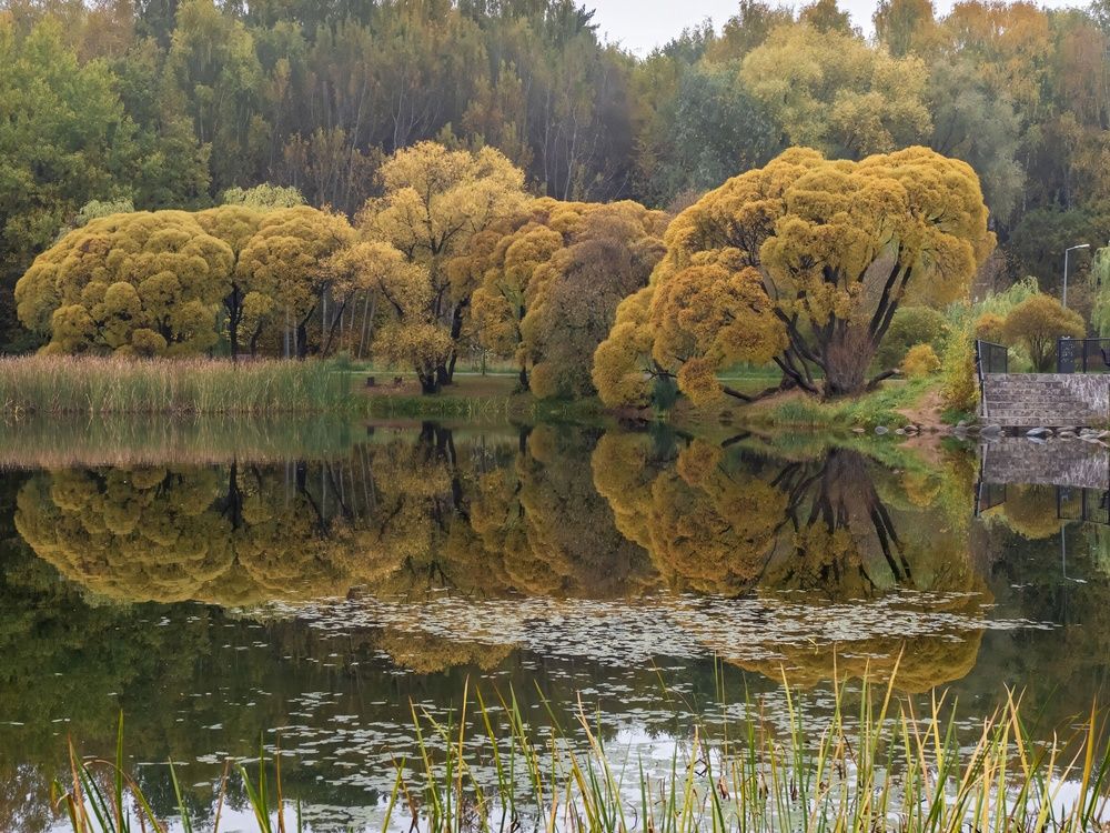 Photograph by Борис Полтавец