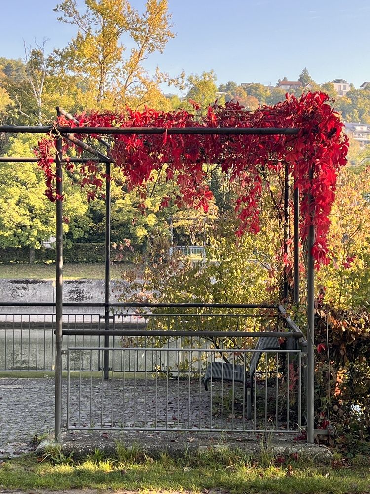 Photograph by Eugenia Schmidt