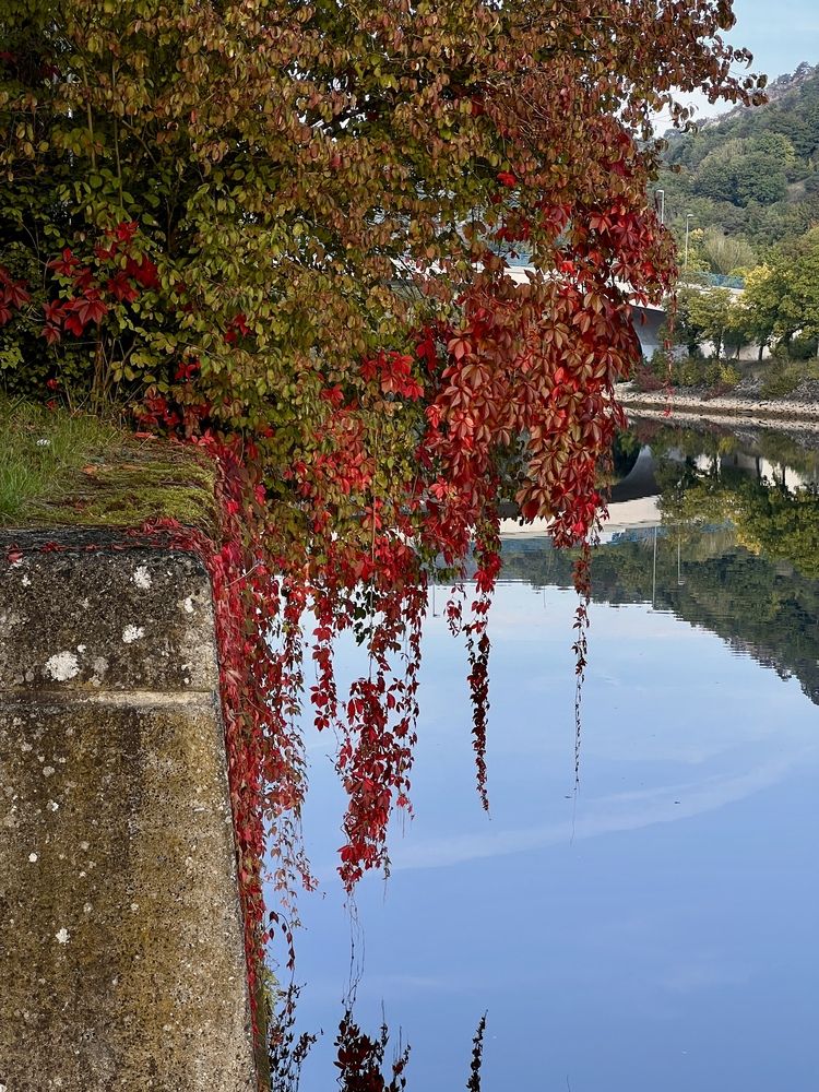 Photograph by Eugenia Schmidt