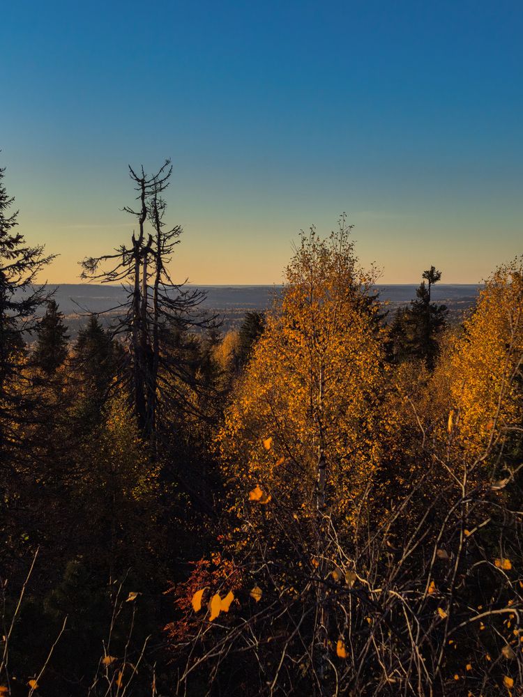 Photograph by Сергей Ведерников