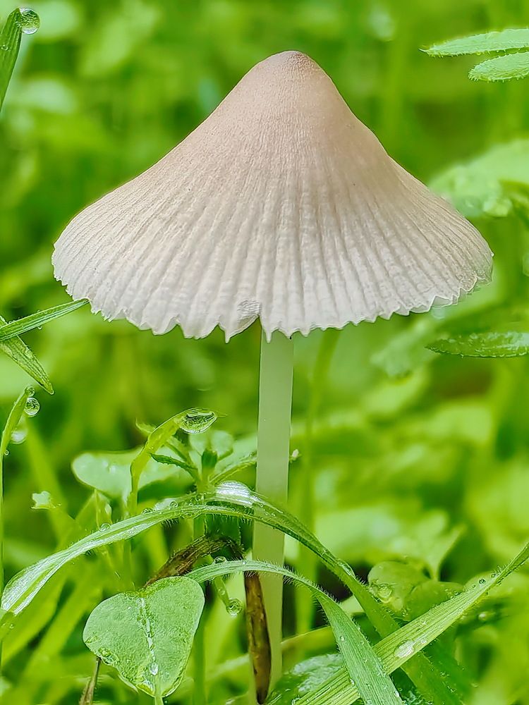 Photograph by Евгений Замковой