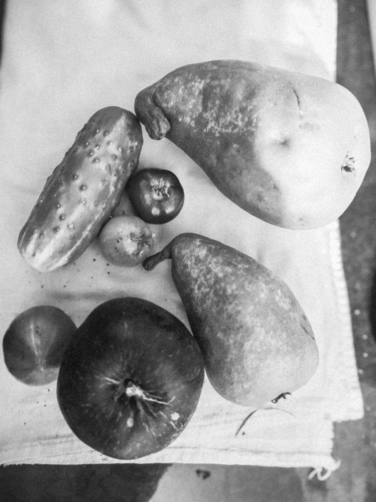 Фотография автора Татьяна Мишкина