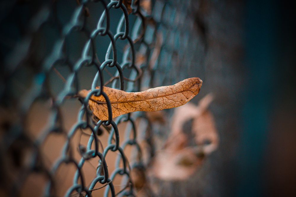 Фотография автора Михаил Наволокин