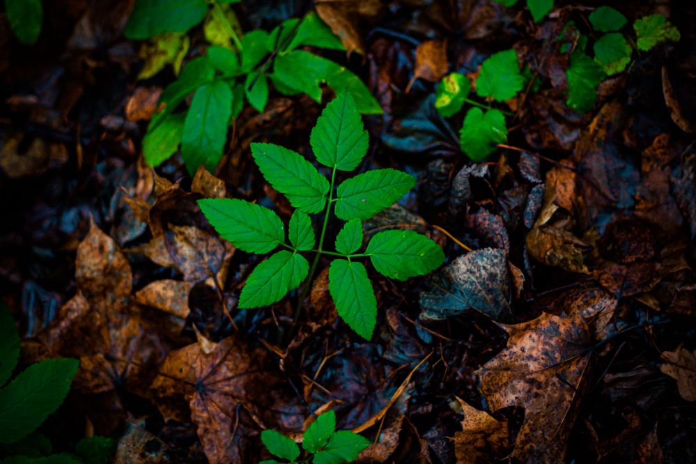 Фотография автора Михаил Наволокин
