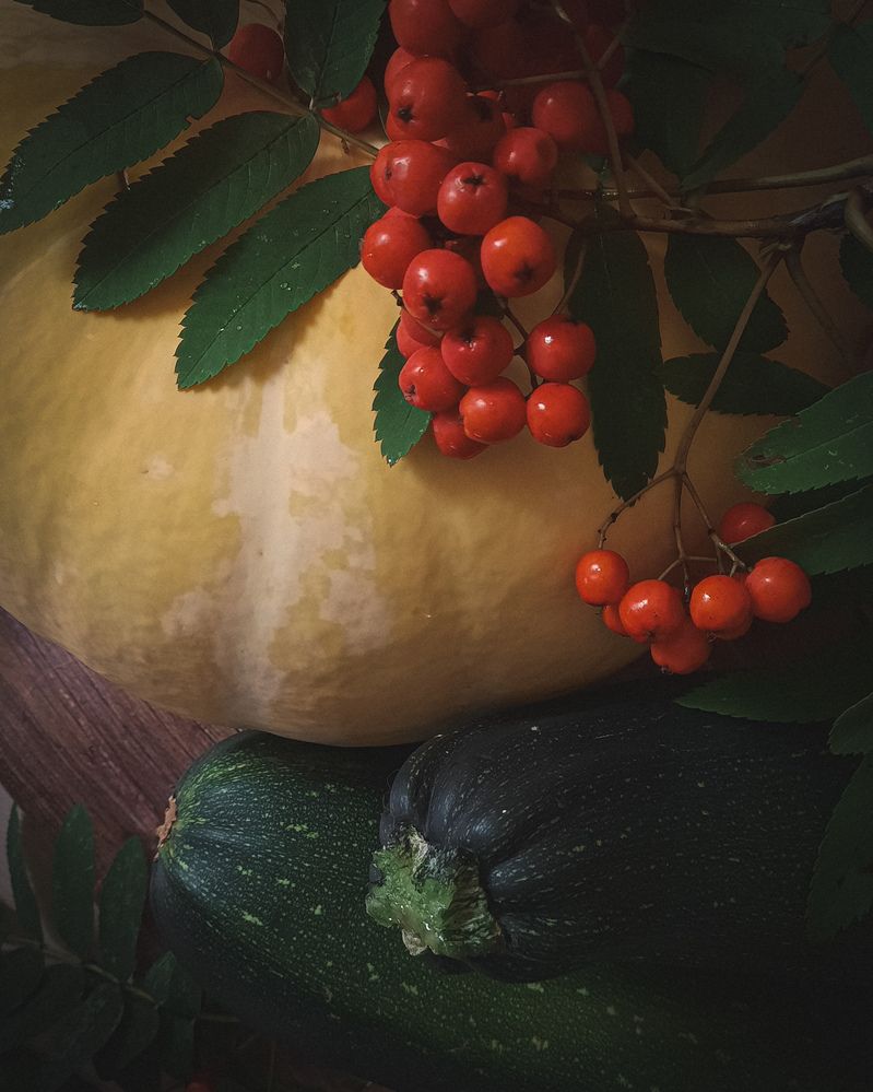 Фотография автора Наташа Данилова