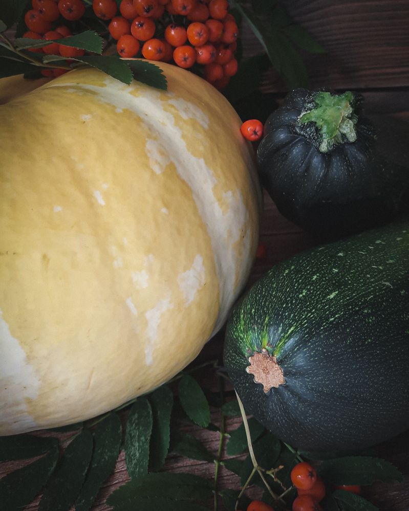 Фотография автора Наташа Данилова