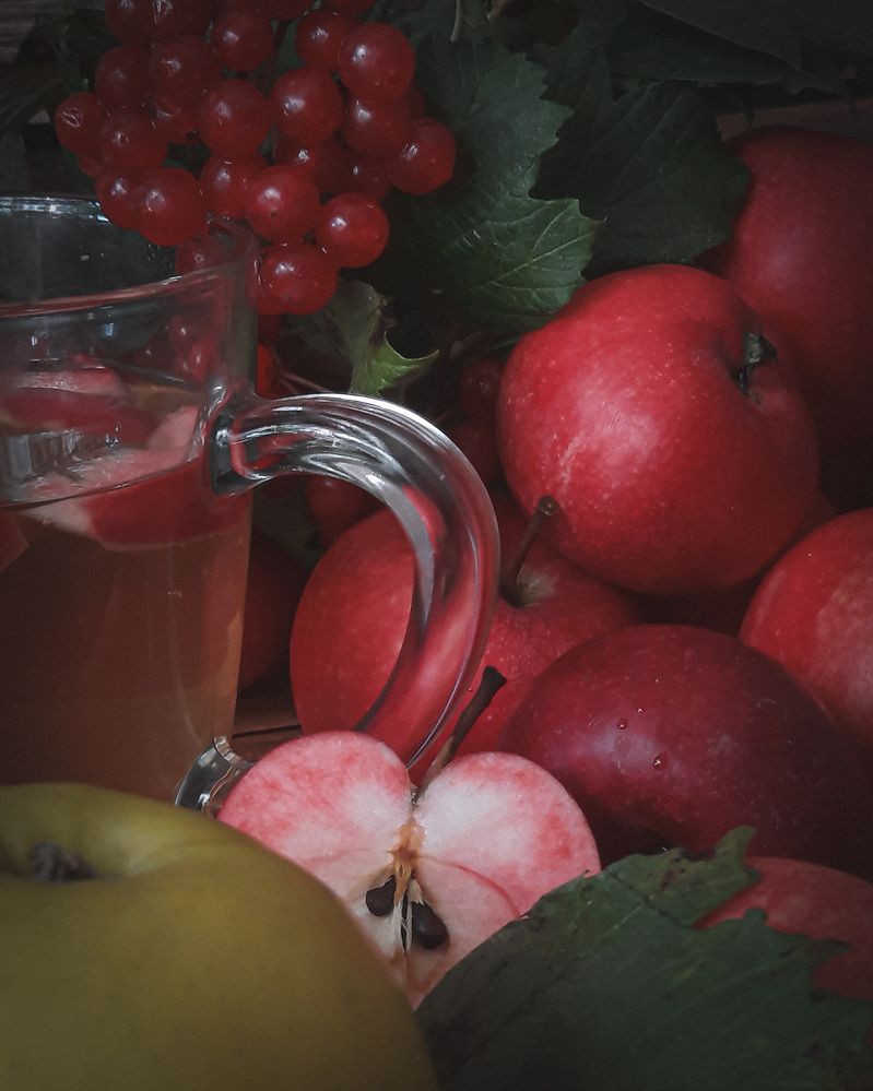 Фотография автора Наташа Данилова