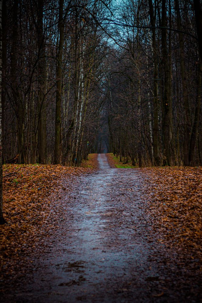 Фотография автора Михаил Наволокин