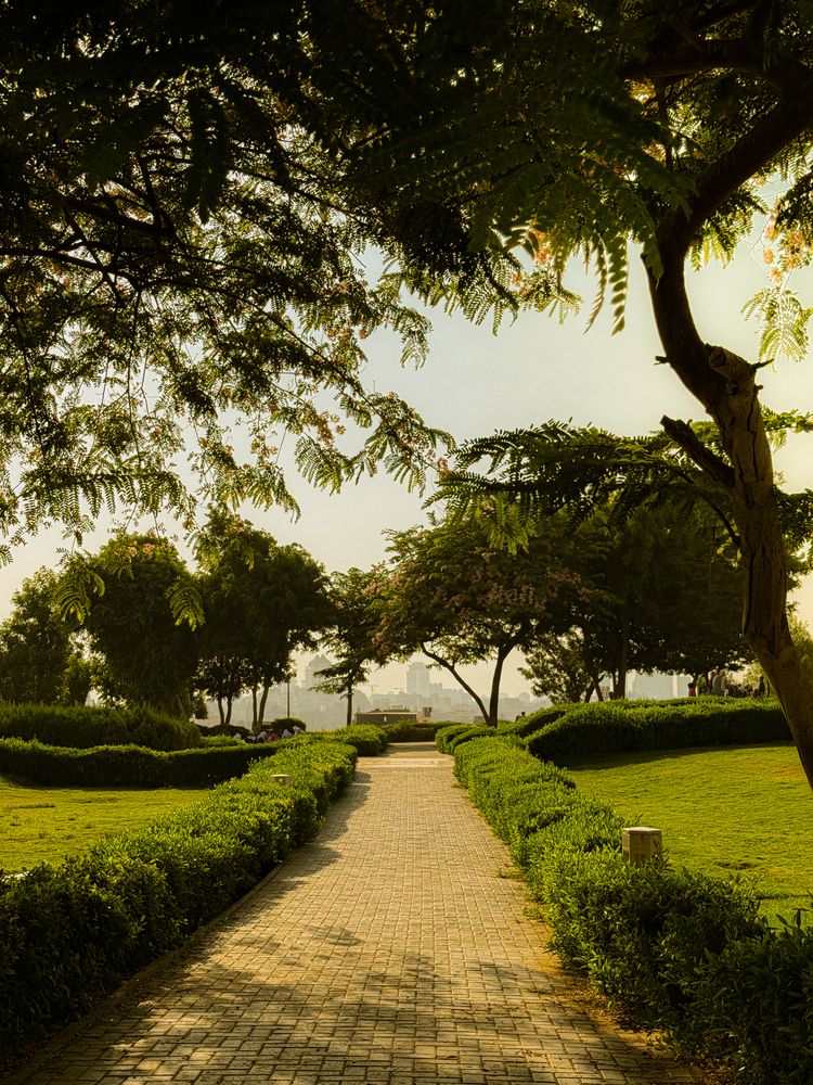 Photograph by NADER AYMAN