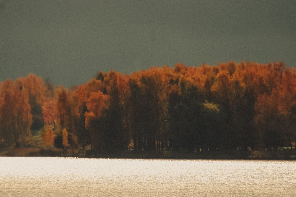 Photograph by Елена Лебедева