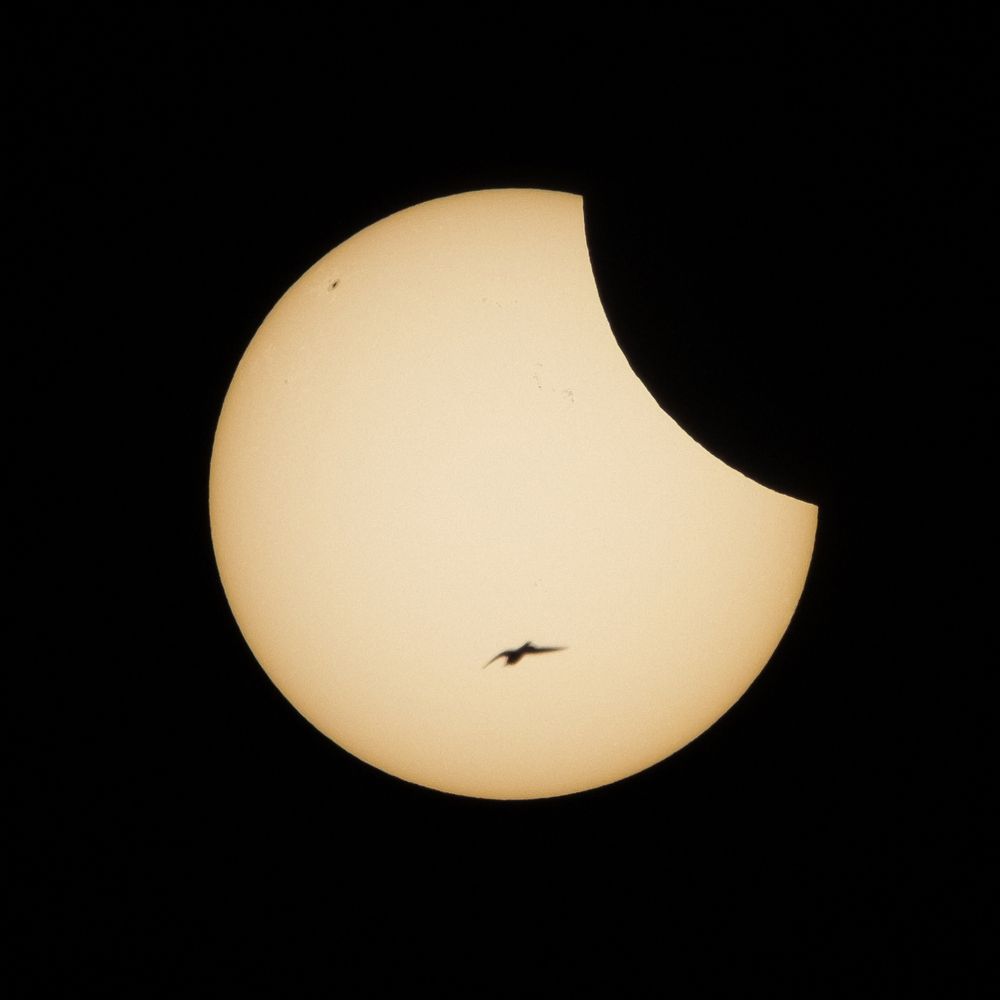 Photograph by Андрей Шингаркин